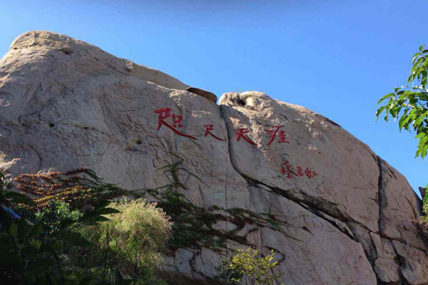 青島+嶗山+黃島西海岸+金沙灘+橋隧東西海岸線(xiàn)純玩2日游